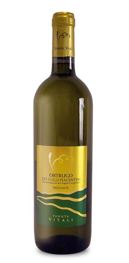 Ortrugo DOC frizzante della Val Tidone, Tenuta Vitali