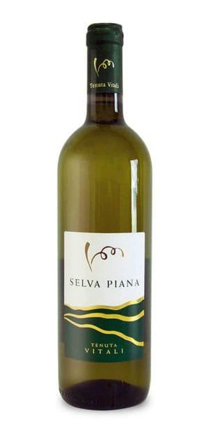 Selva Piana vino bianco frizzante della Val Tidone, Tenuta Vitali