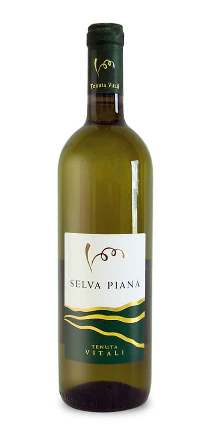 Selva Piana vino bianco frizzante della Val Tidone, Tenuta Vitali