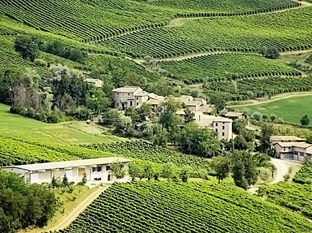 Tenuta Vitali azienda vitivinicola della Val Tidone nei colli piacentini