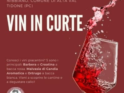 locandina VIN IN CURTE 8 maggio 2022 presso Nibbiano